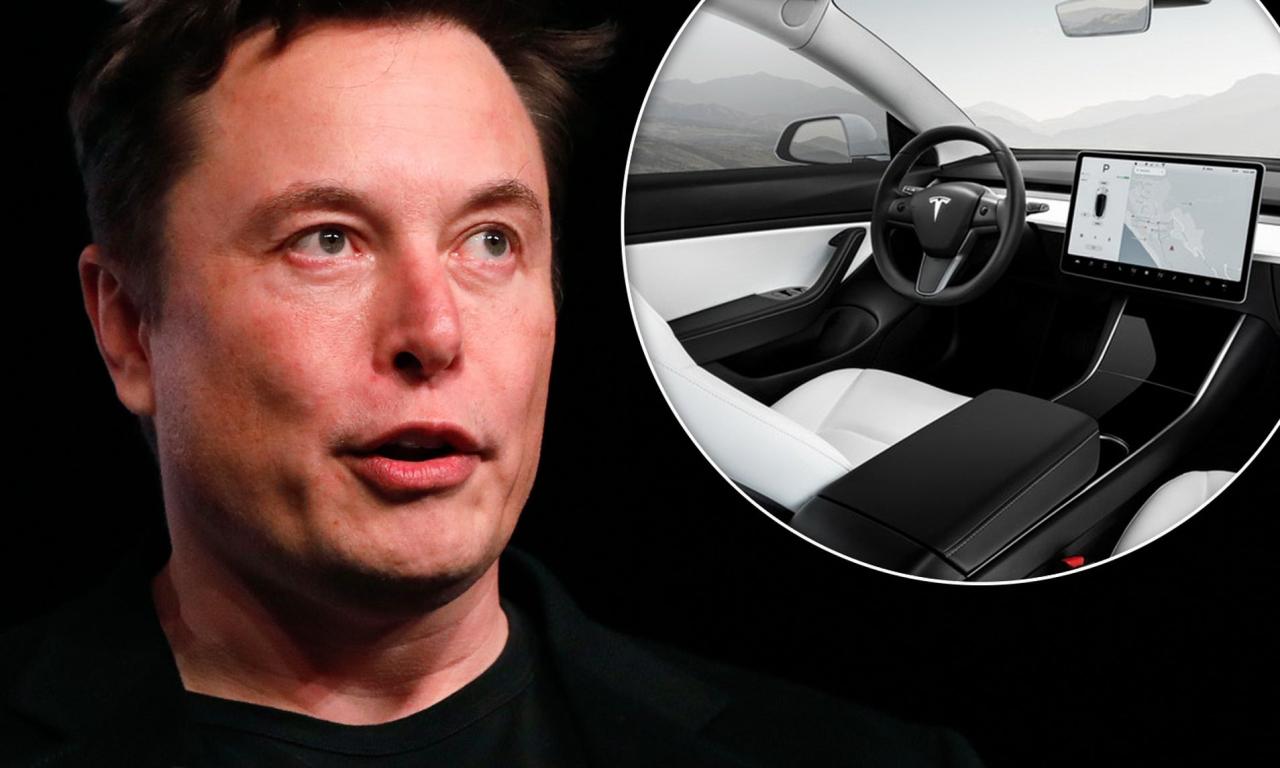 Toot your own horn: Elon Musk hints that Tesla owners will be able to choose custom horn sounds | Daily Mail Online