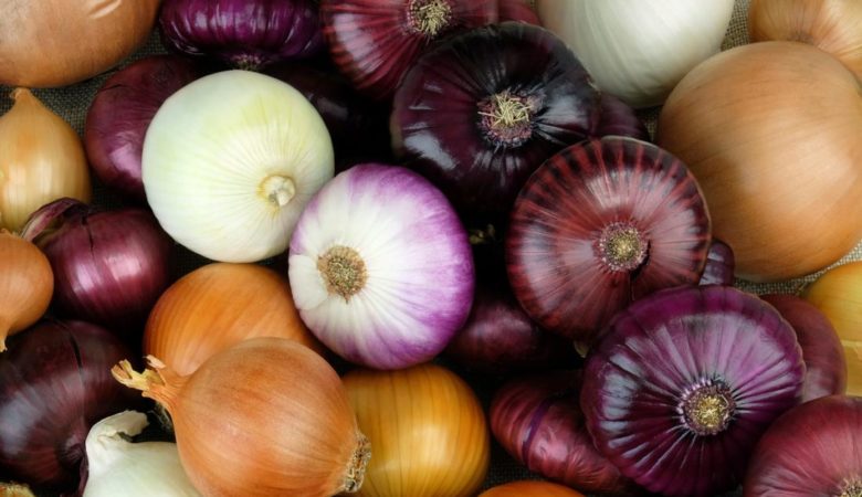 Onions: Benefits and nutrition